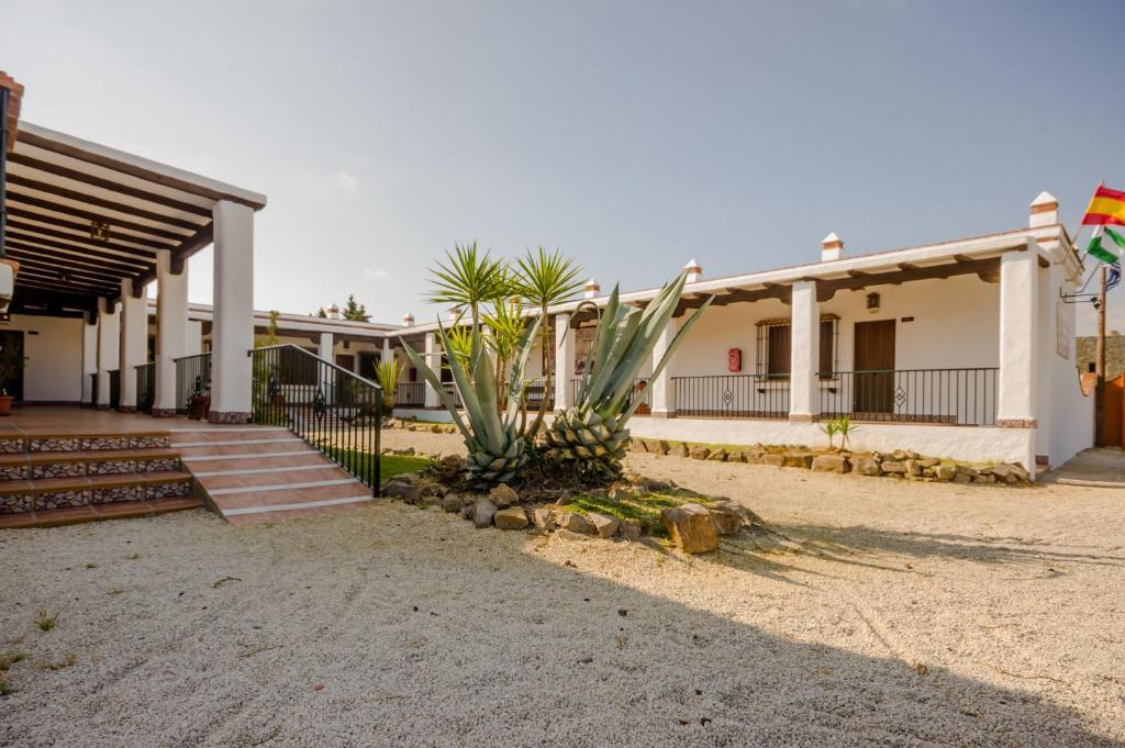 Hacienda Puerto Conil Lejlighed Conil De La Frontera Eksteriør billede