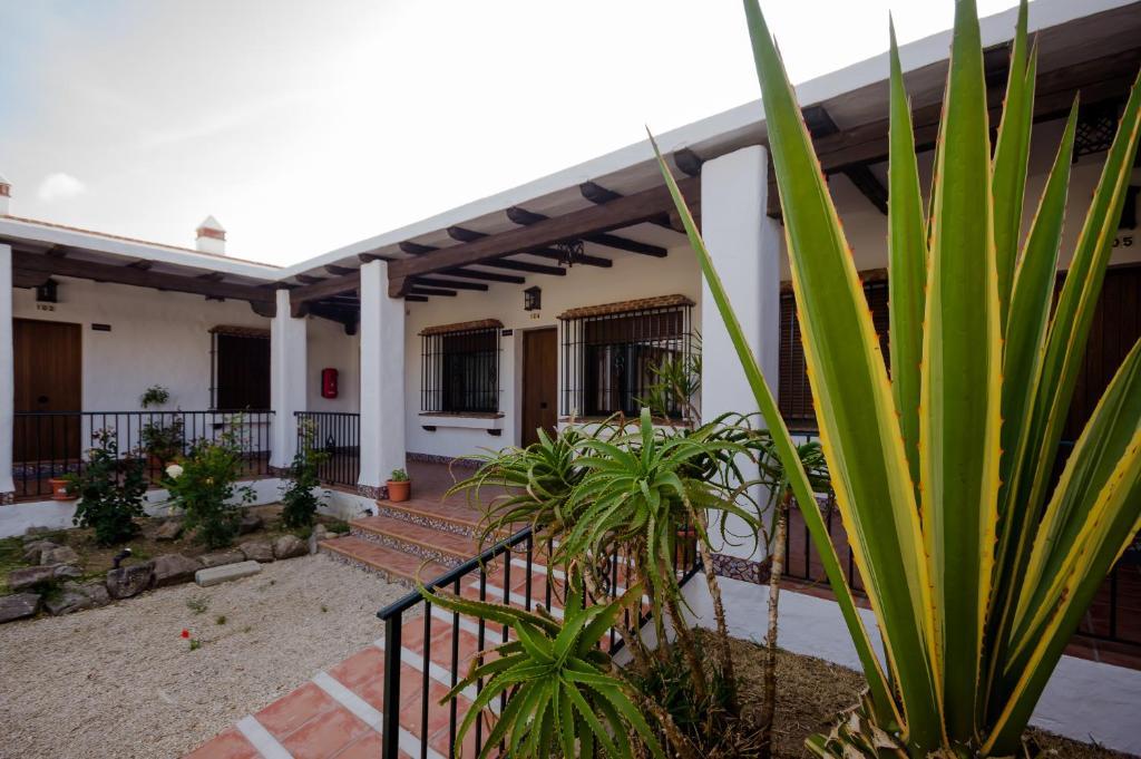 Hacienda Puerto Conil Lejlighed Conil De La Frontera Eksteriør billede